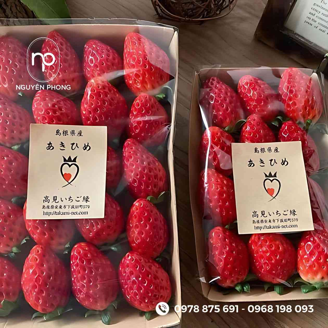 Mẫu tem dán dâu tây 

